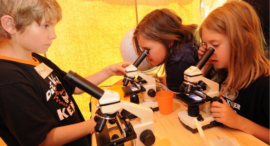 Drei Kinder beim Mikroskopieren