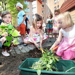 Kinder legen ein Beet an