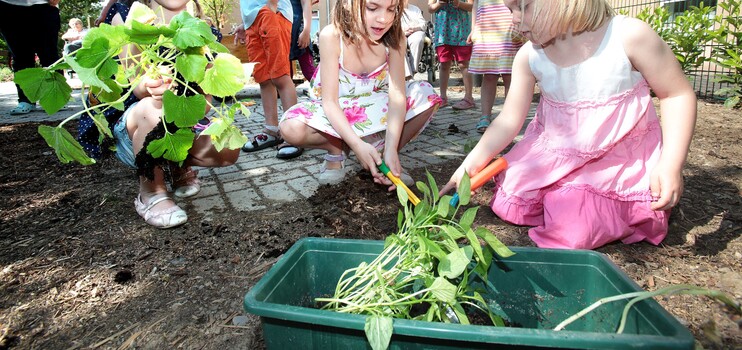 Kinder legen ein Beet an