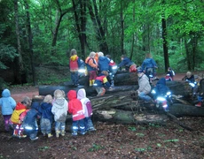 Kinder im Wald