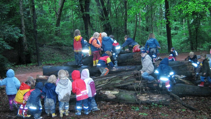Kinder im Wald