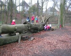Kinder balancieren auf einem Baumstamm
