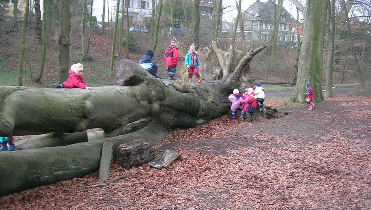 Kinder balancieren auf einem Baumstamm