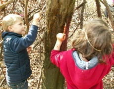 Zwei Jungen "bearbeiten" einen Baumstamm