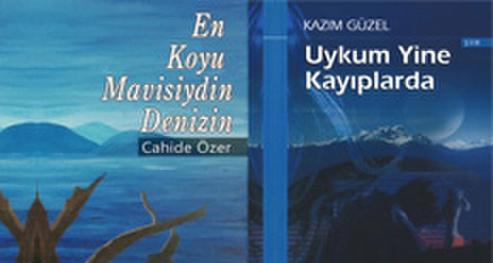 Buchtitel: Das tiefste Blau des Meeres bist Du, Cahide Özer und Wieder eine dieser schlaflosen Nächte, Kazim Güzel