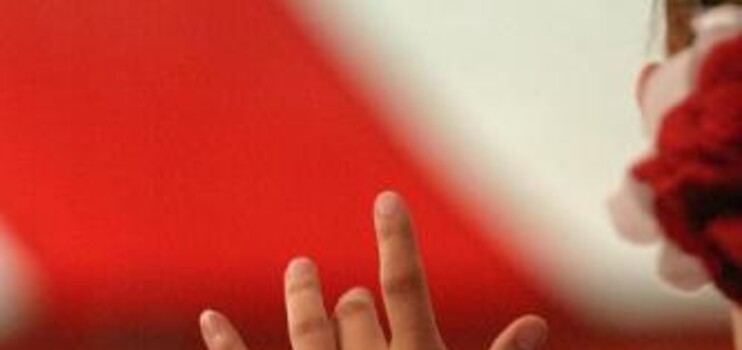 Flamenco 3